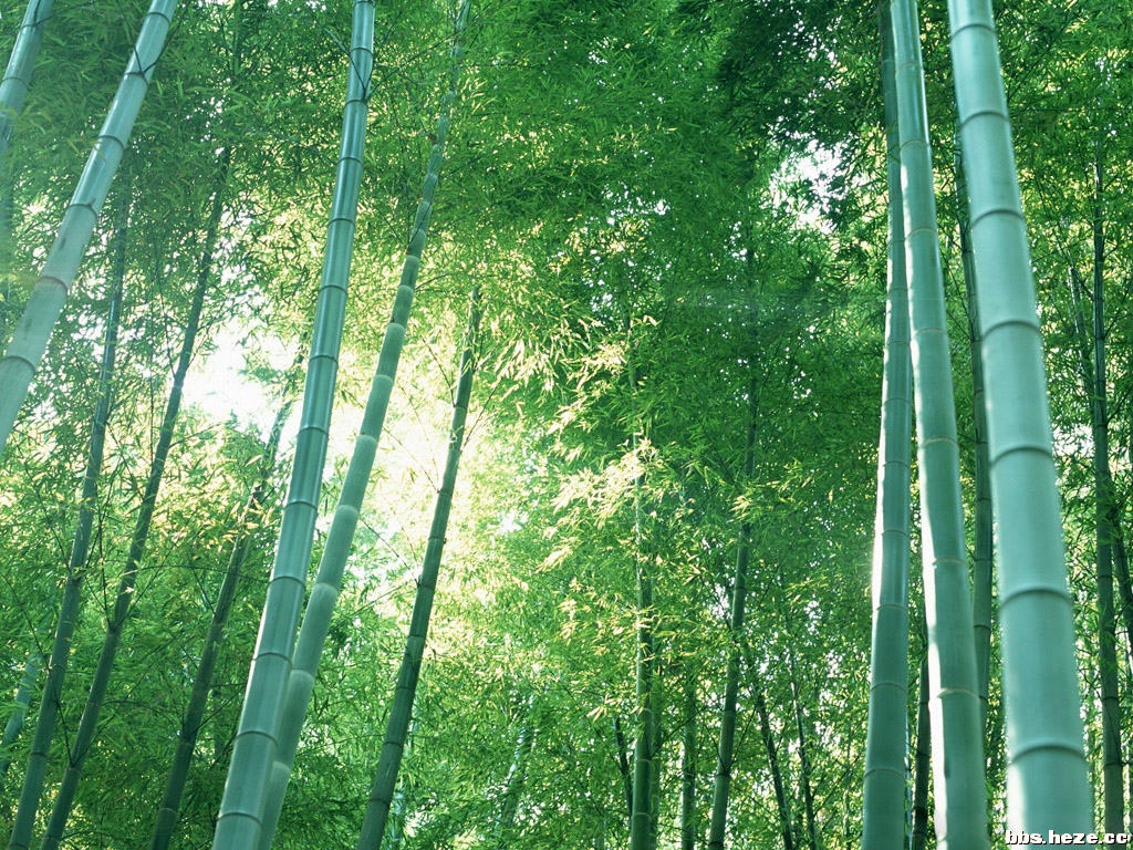 20080610_79e1249ee86bd30f745c4KNghROZGCcC.jpg